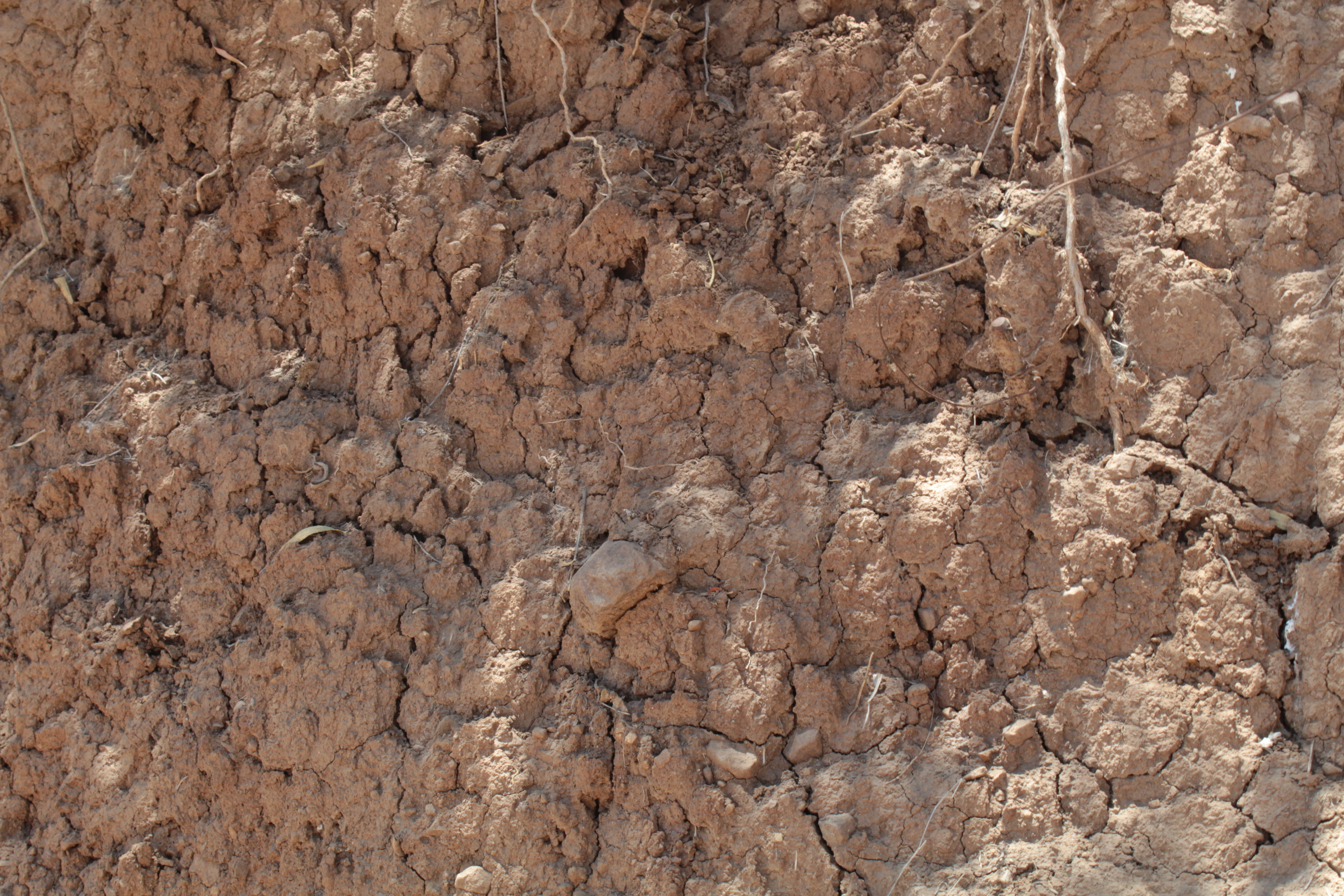 Mold for biological corridors Free 3D print model_3