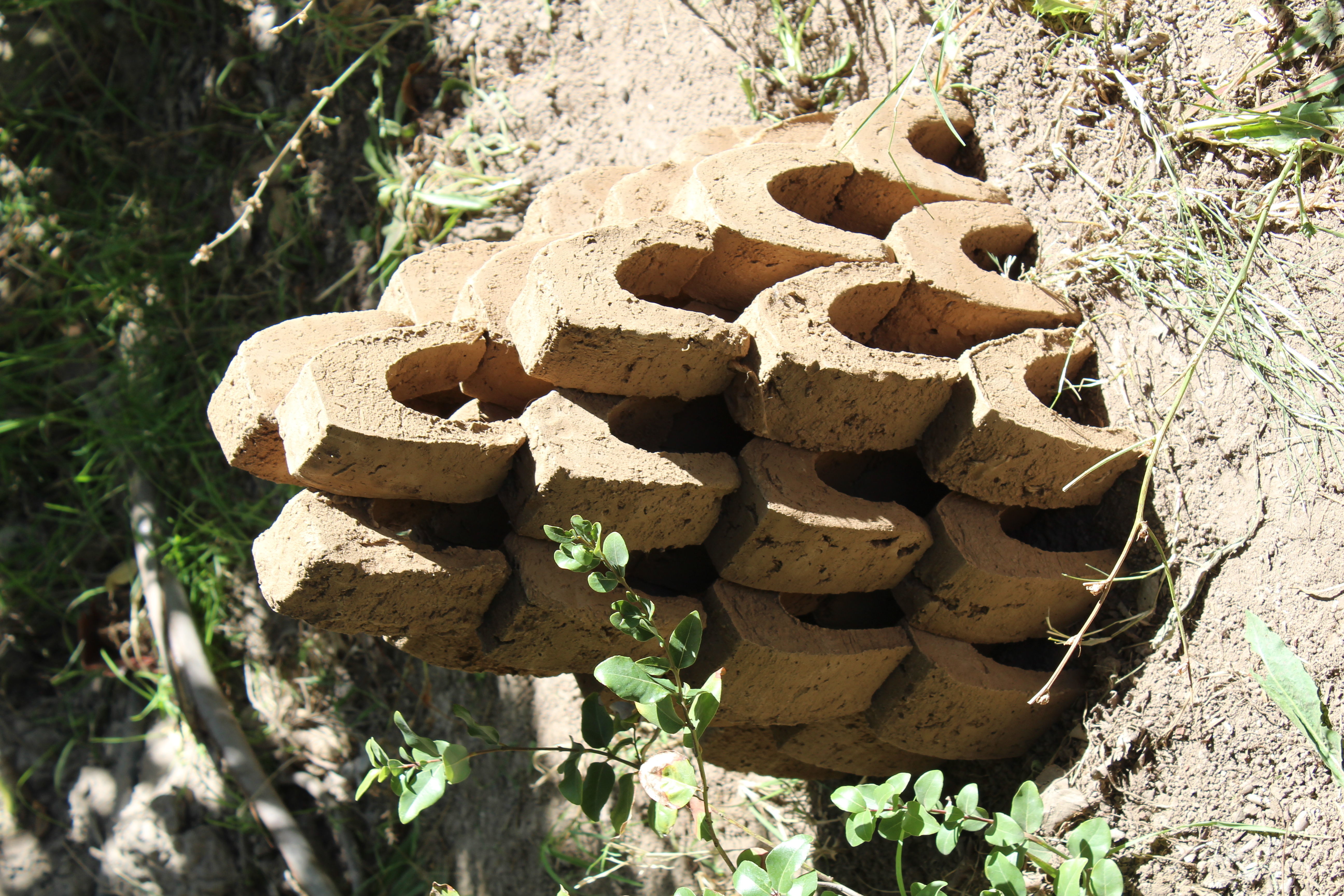 Mold for biological corridors Free 3D print model_4