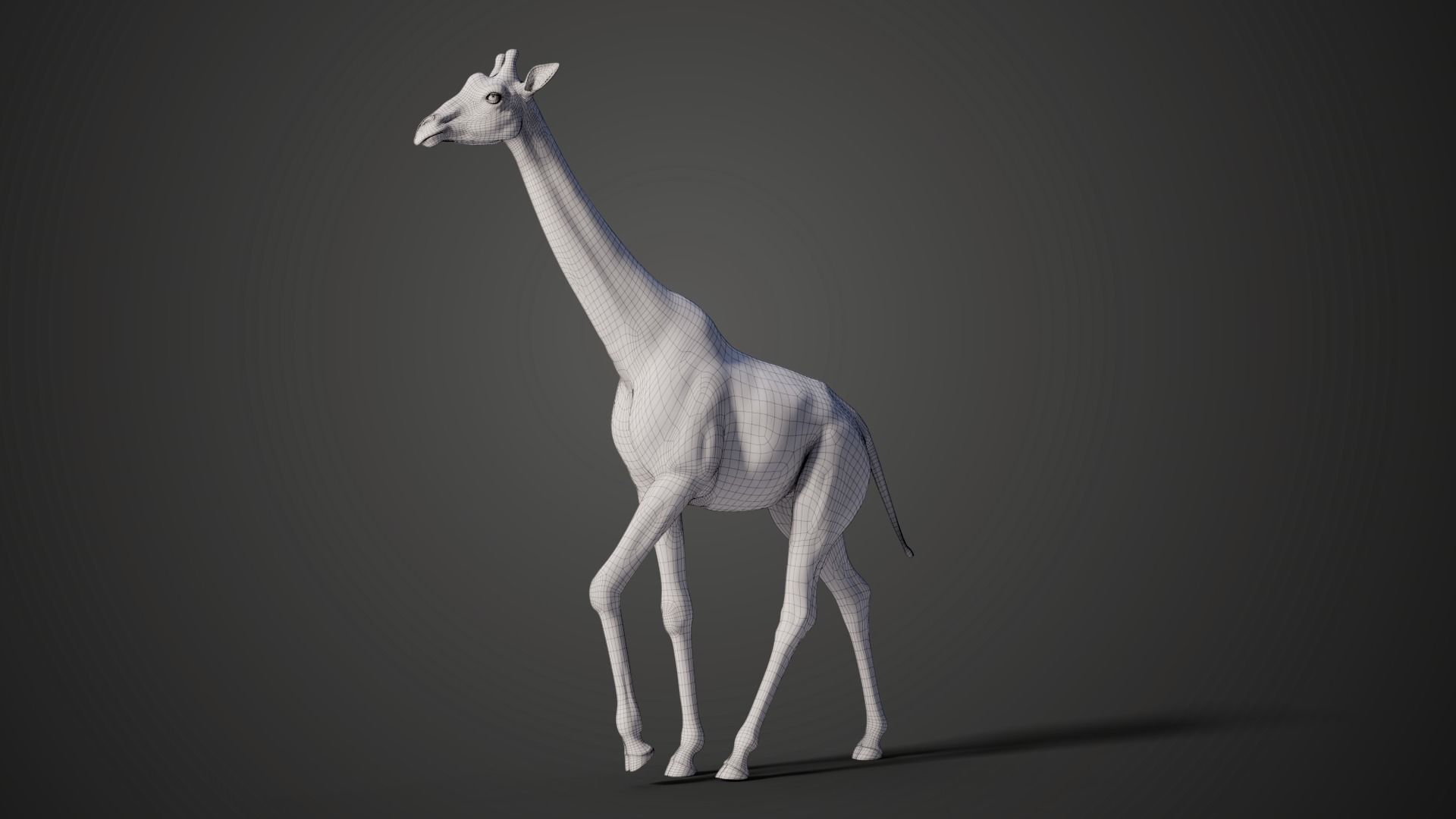 Giraffe Animated 3D model_11
