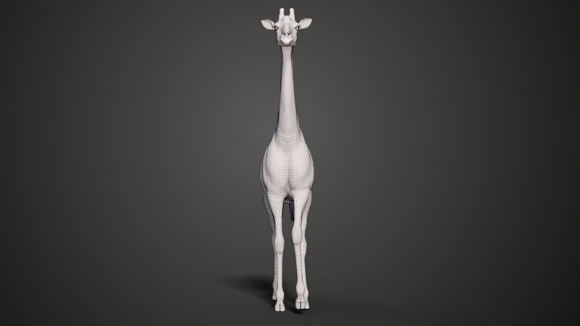 Giraffe Animated 3D model_9