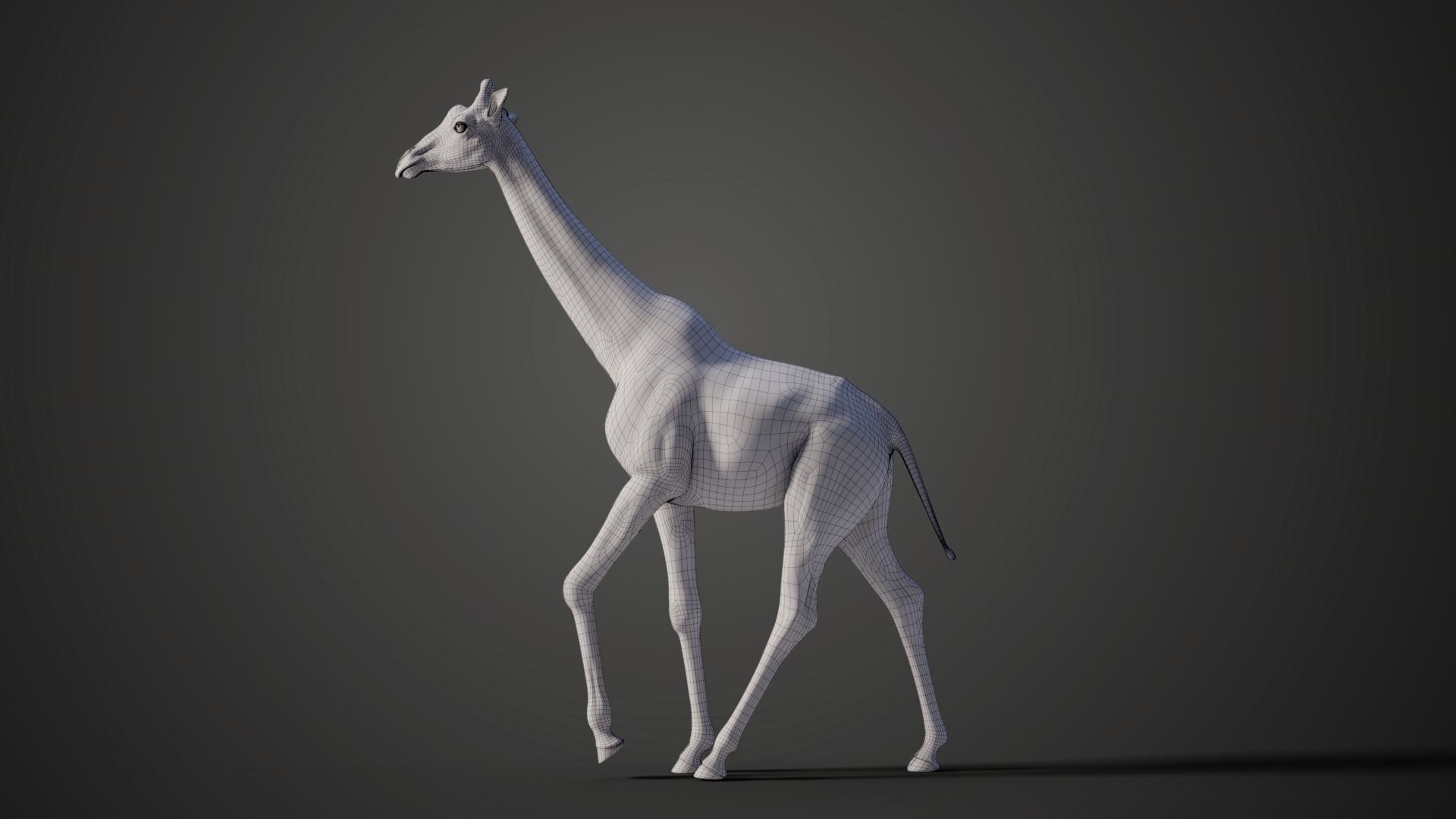 Giraffe Animated 3D model_10