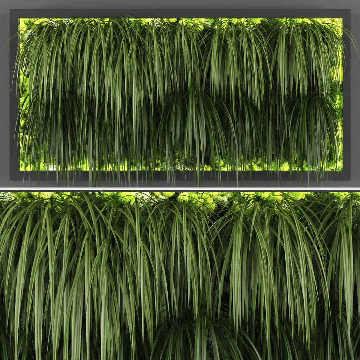 Vertical garden 122 Low-poly 3D model_0