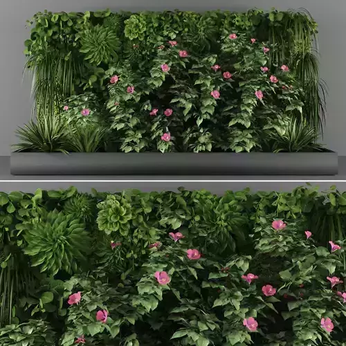 Vertical garden 125
