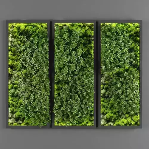 Vertical garden 126