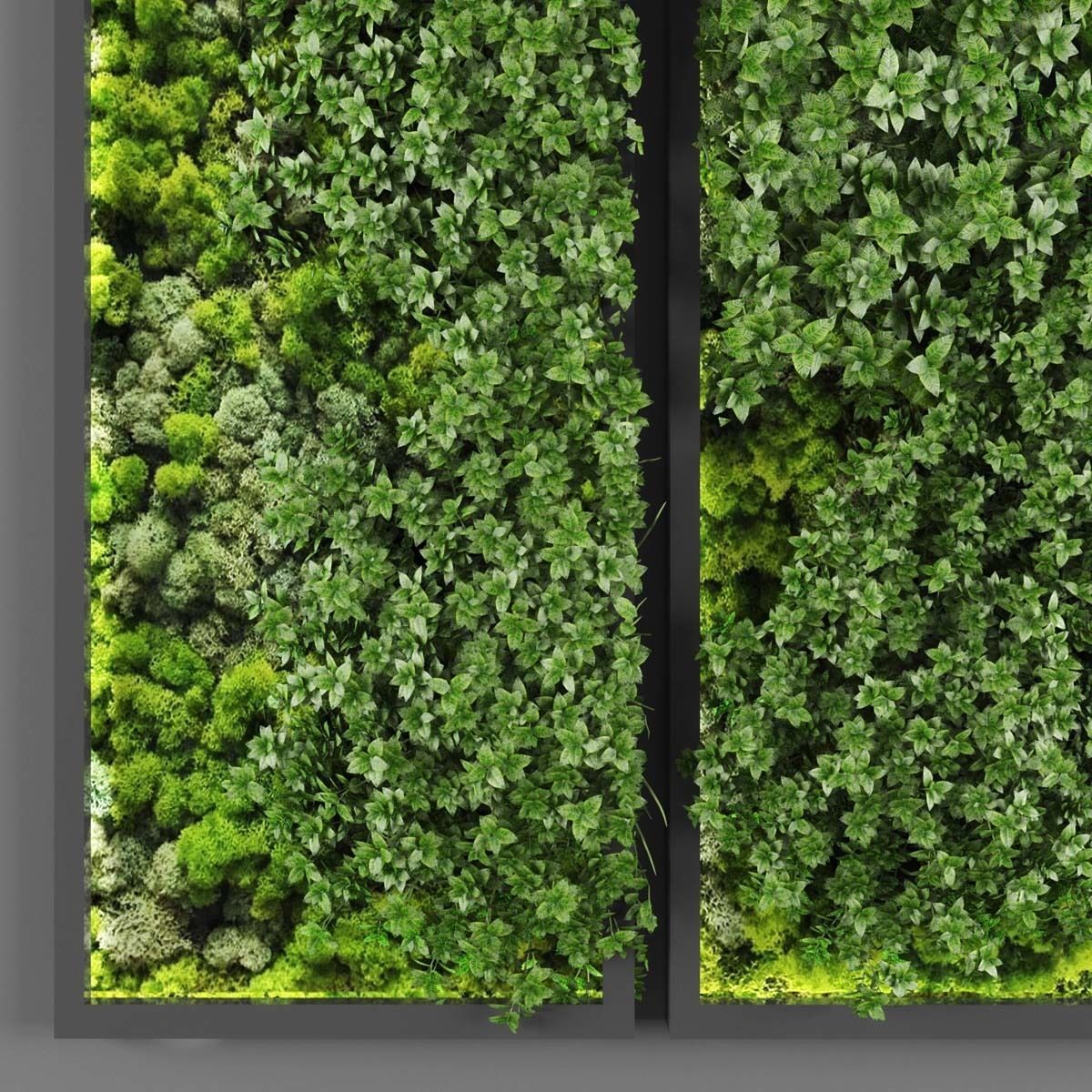 Vertical garden 126 Low-poly 3D model_1