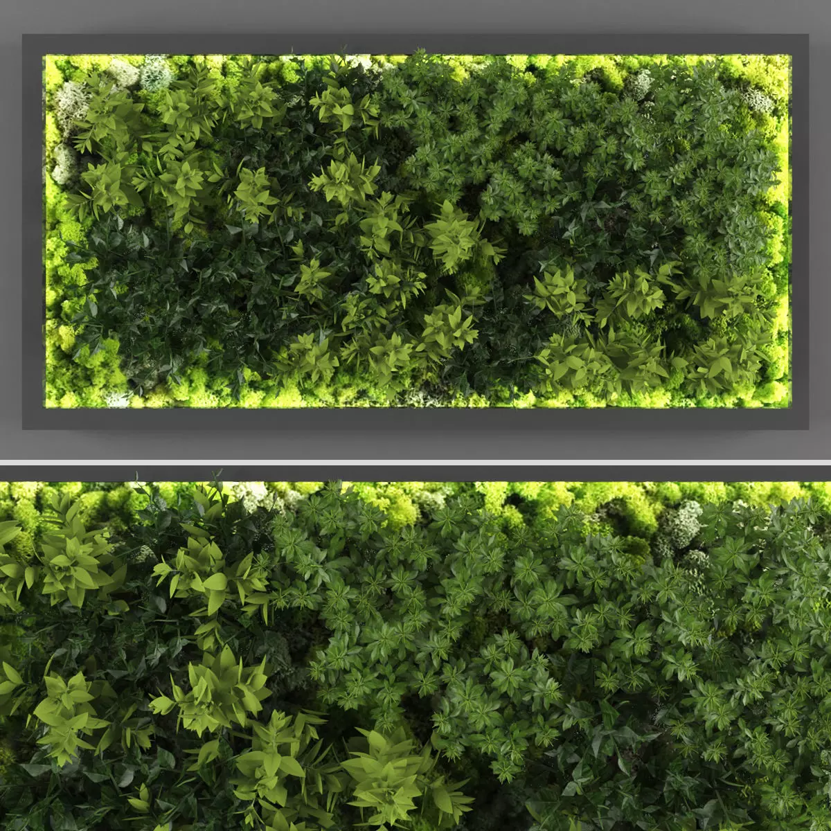 Vertical garden 128 Low-poly 3D model_0