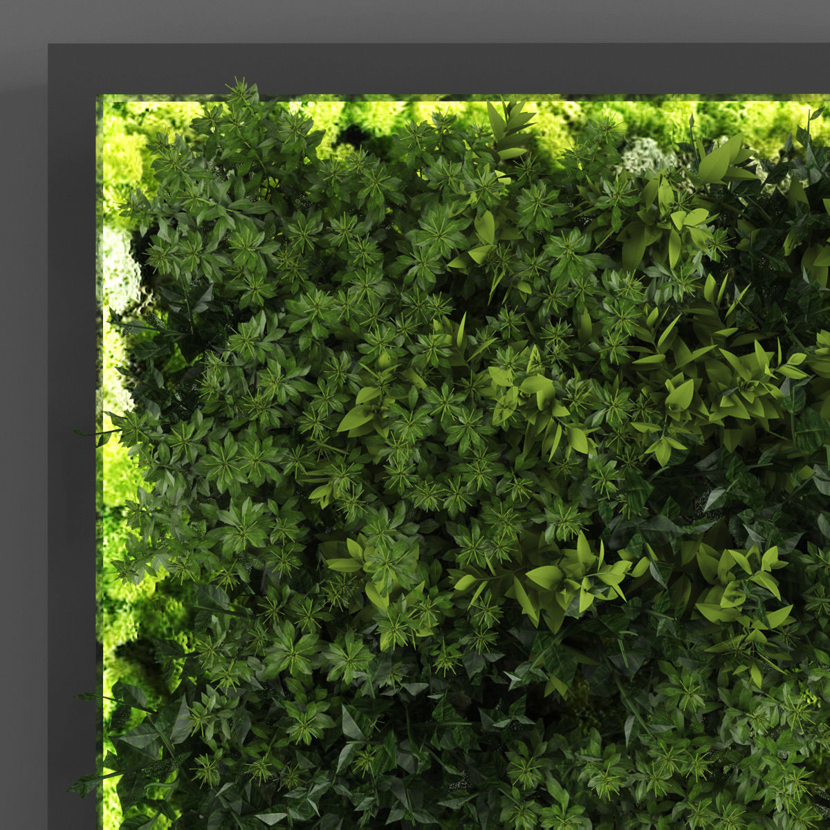 Vertical garden 129 Low-poly 3D model_1