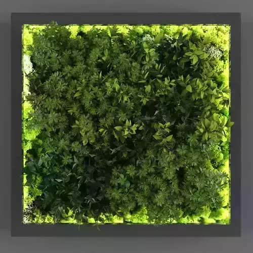 Vertical garden 129