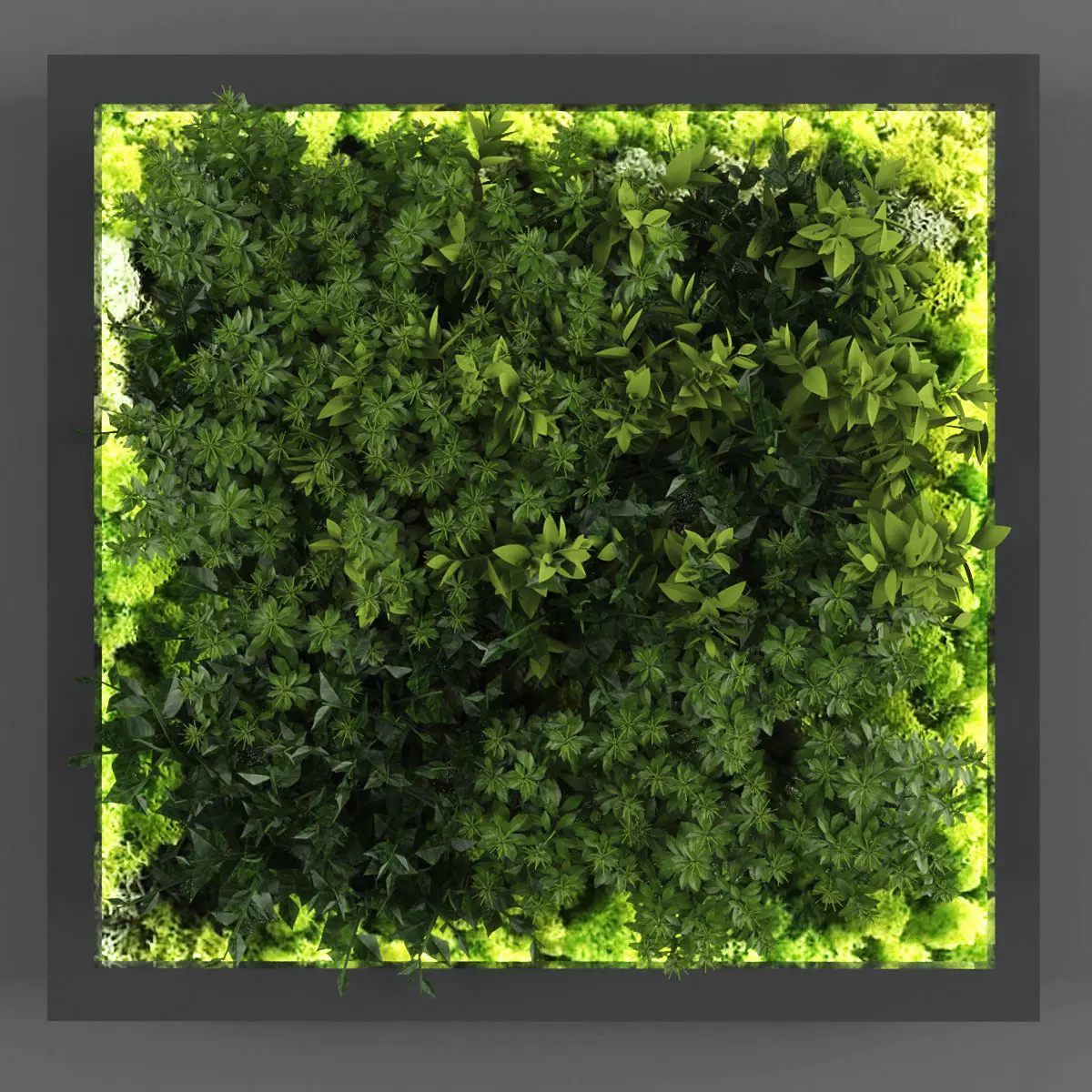 Vertical garden 129 Low-poly 3D model_0