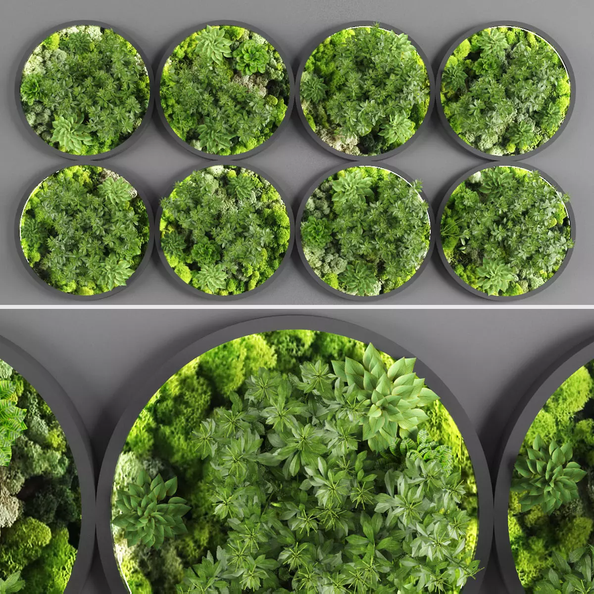 Vertical garden 130 Low-poly 3D model_0