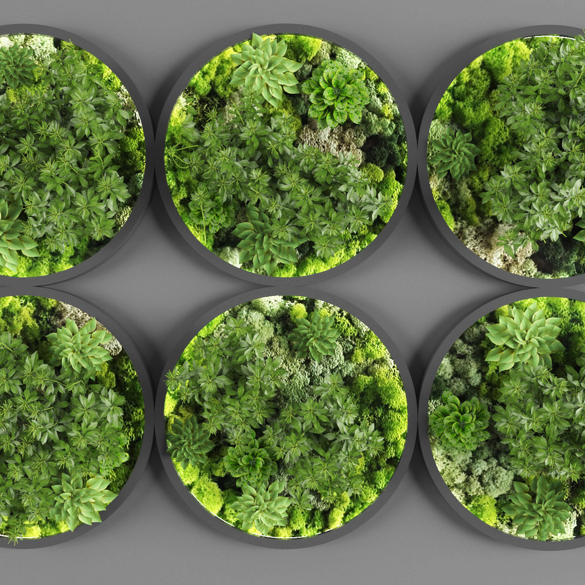 Vertical garden 130 Low-poly 3D model_1