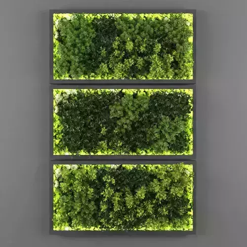 Vertical garden 131
