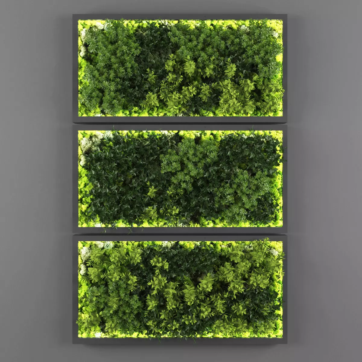 Vertical garden 131 Low-poly 3D model_0