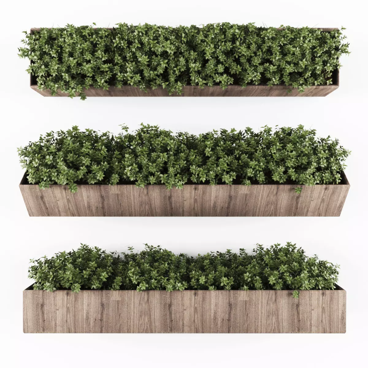Vertical garden 135 Low-poly 3D model_0