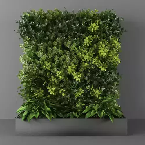 Vertical garden 136