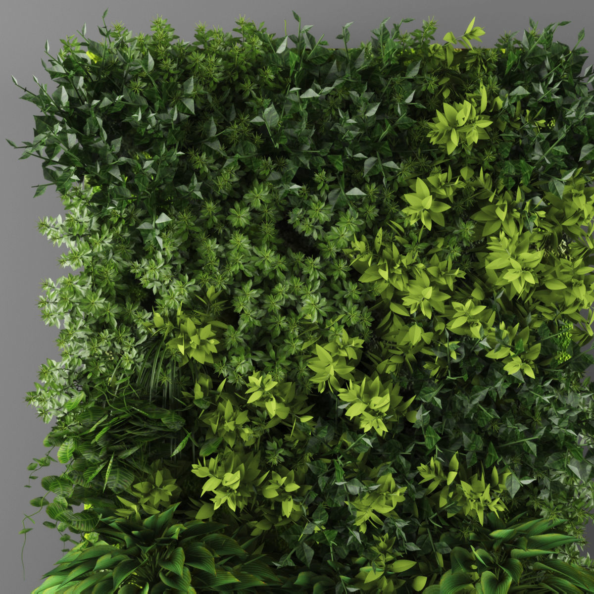 Vertical garden 136 Low-poly 3D model_1