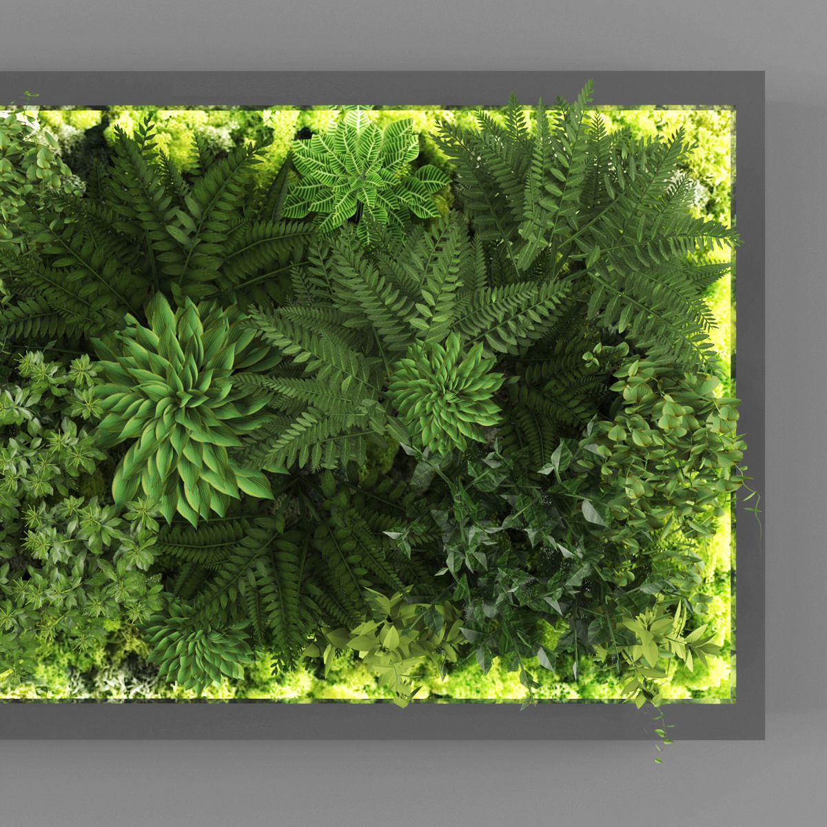 Vertical garden 137 Low-poly 3D model_1