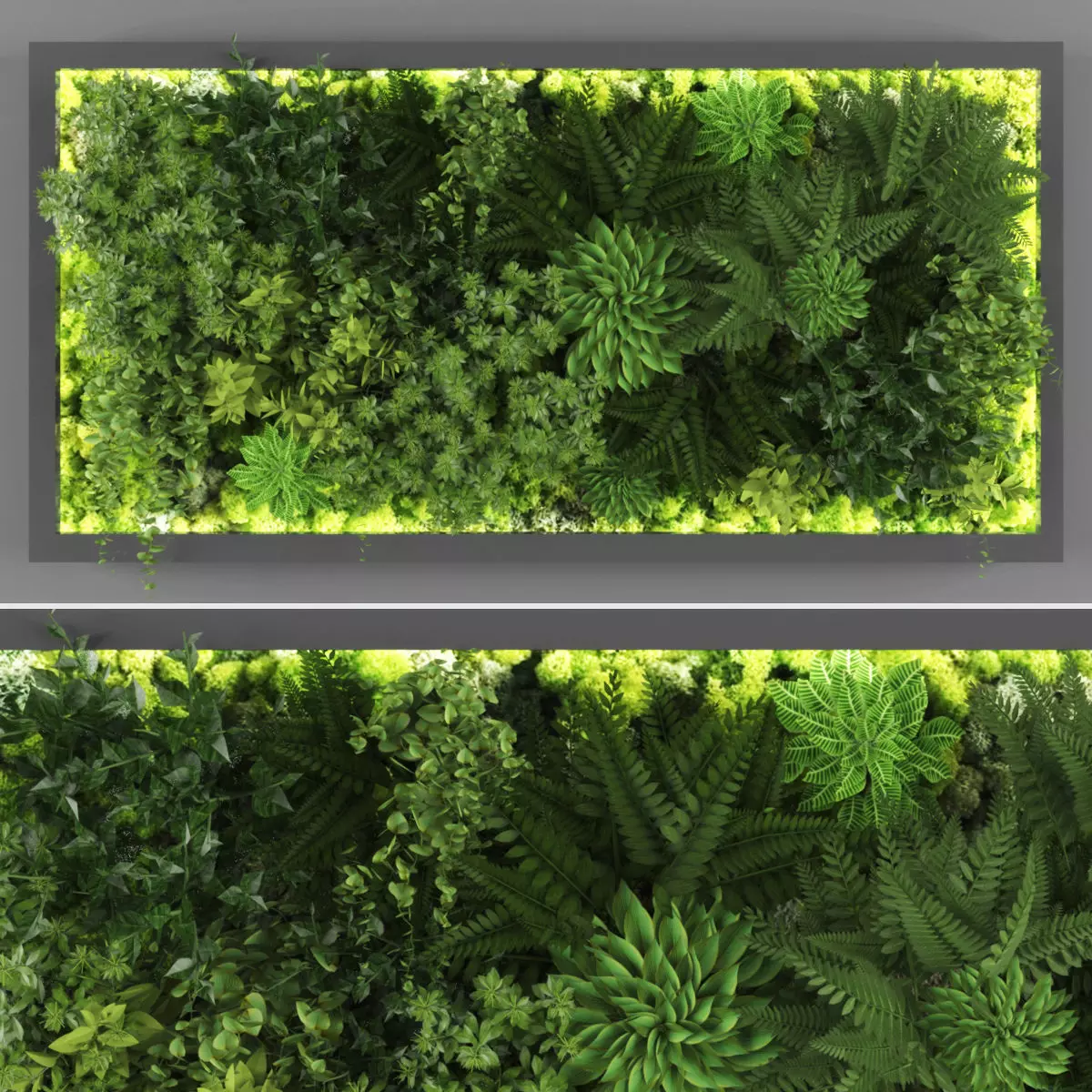 Vertical garden 137 Low-poly 3D model_0