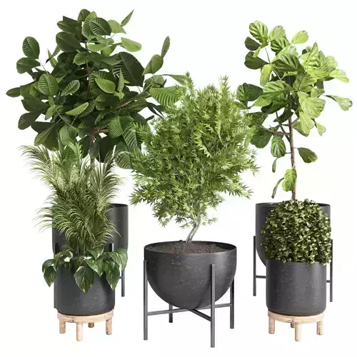 collection Indoor plant 32-marble vase