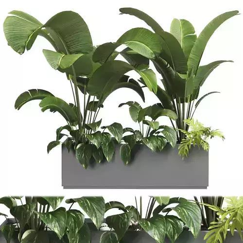 collection Indoor plant 31 -metal vase