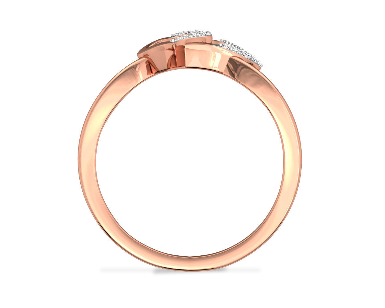 Ring - 221 3D print model_1