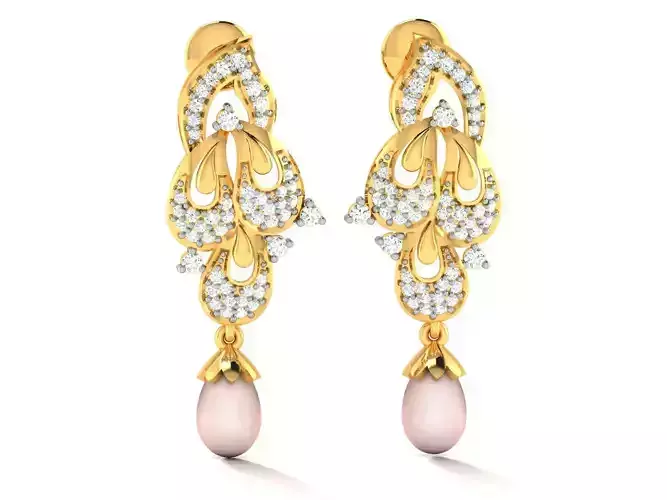 Earrings - 2672