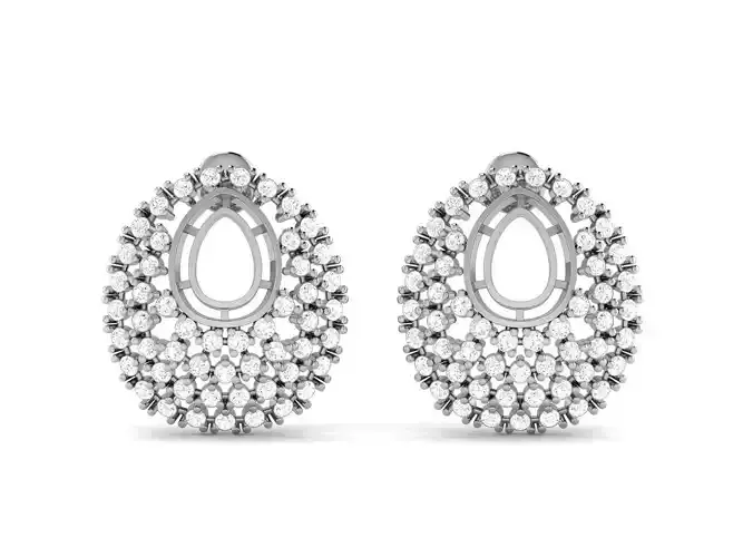 Earrings - 153