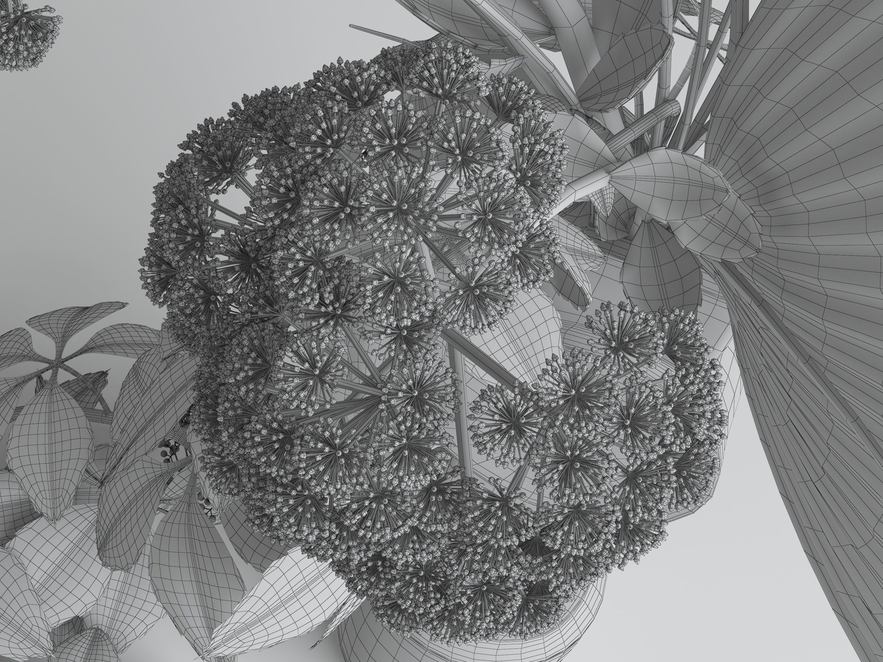 Flowers composition 01 3D model_5