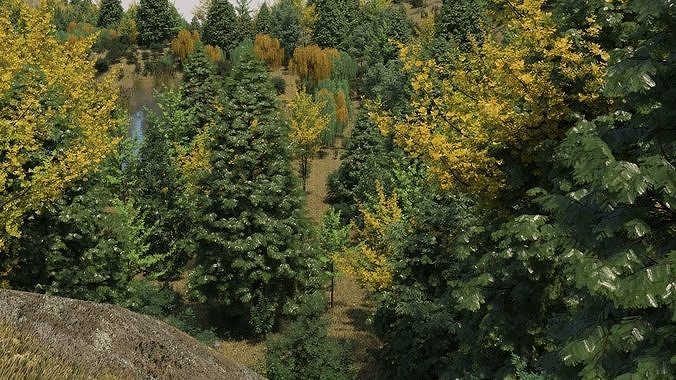 Mountain Forest Landscape 3D model 3