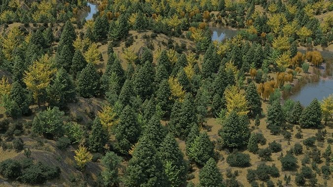 Mountain Forest Landscape 3D model 4