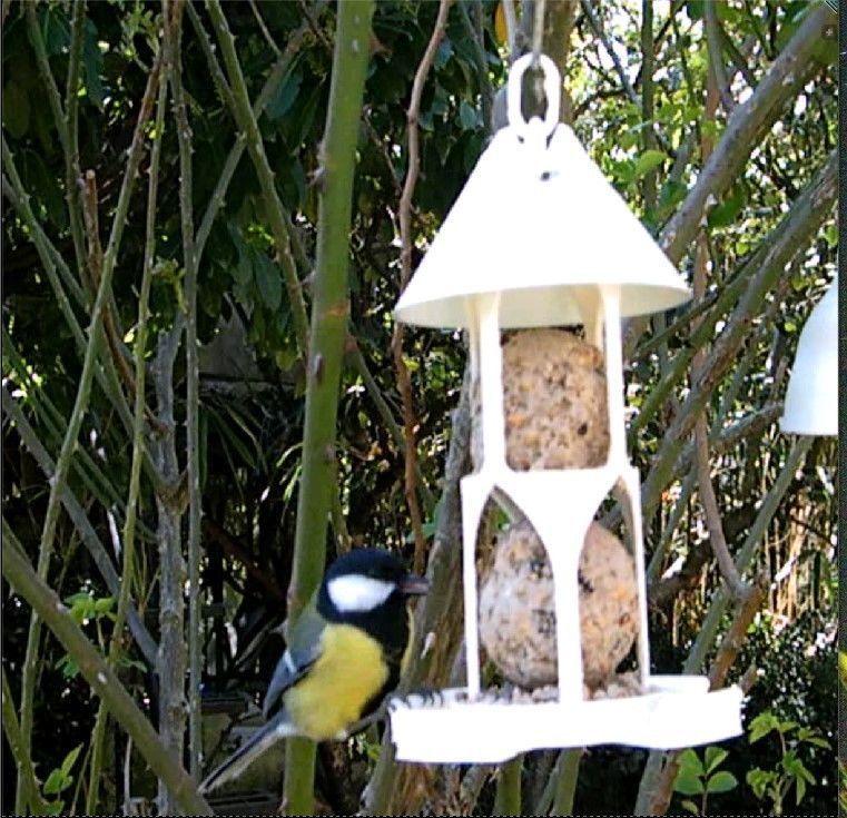 Bird feeder seedballs and seed 3D print model_2