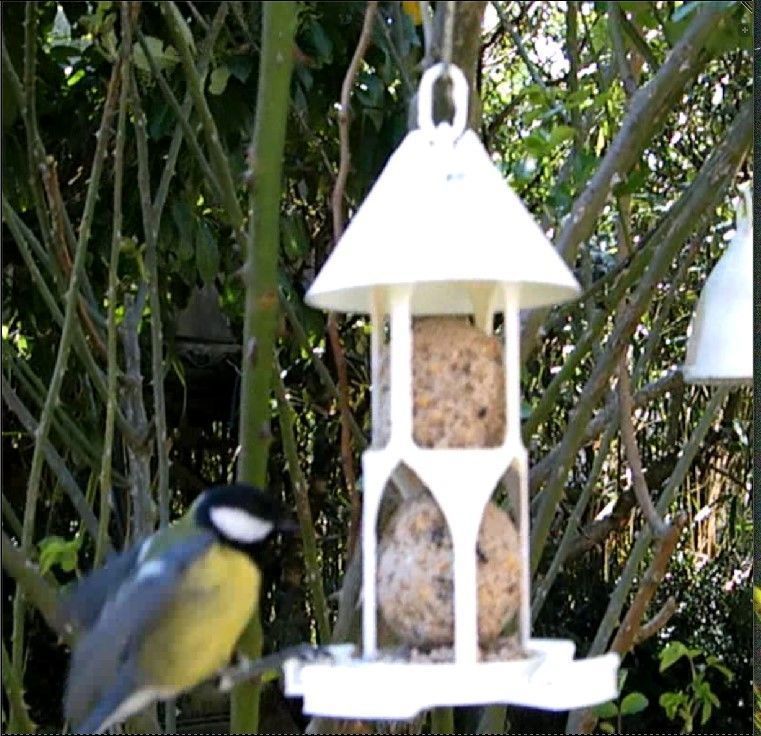 Bird feeder seedballs and seed 3D print model_5