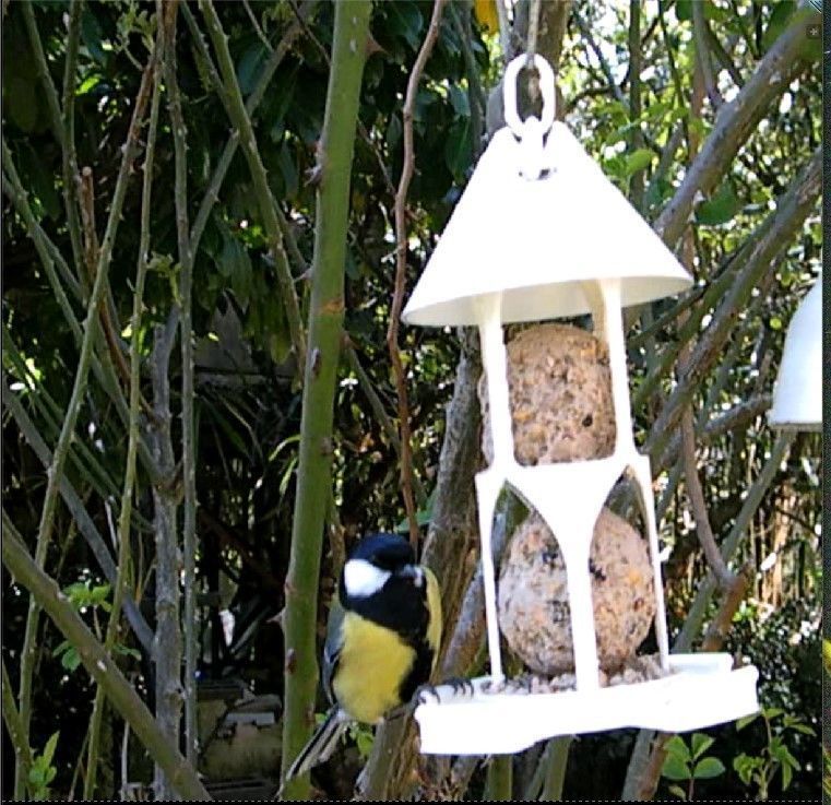 Bird feeder seedballs and seed 3D print model_10