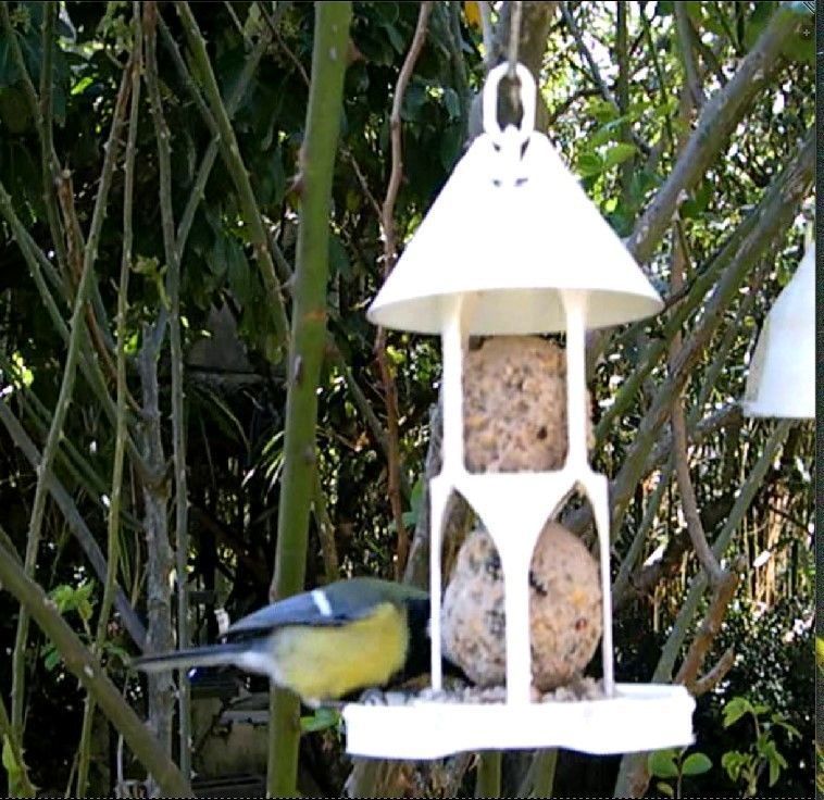 Bird feeder seedballs and seed 3D print model_8