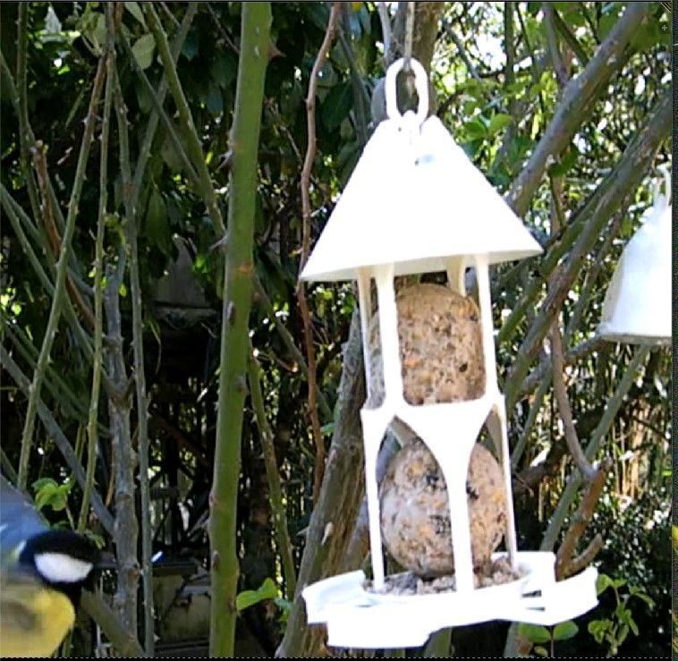 Bird feeder seedballs and seed 3D print model_1