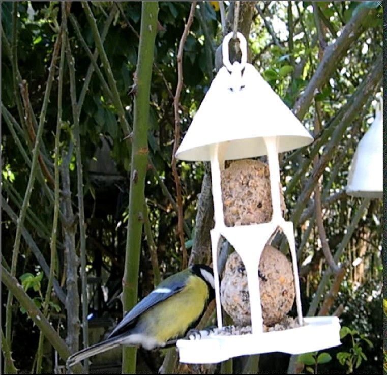 Bird feeder seedballs and seed 3D print model_7