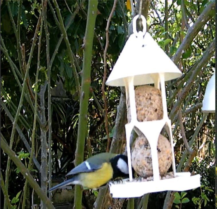 Bird feeder seedballs and seed 3D print model_3