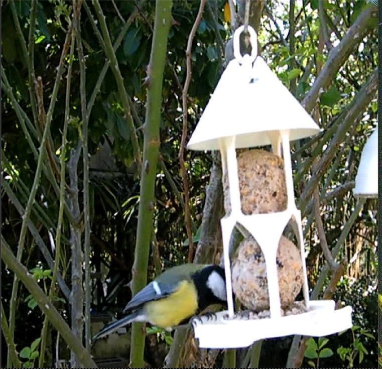 Bird feeder seedballs and seed 3D print model_11