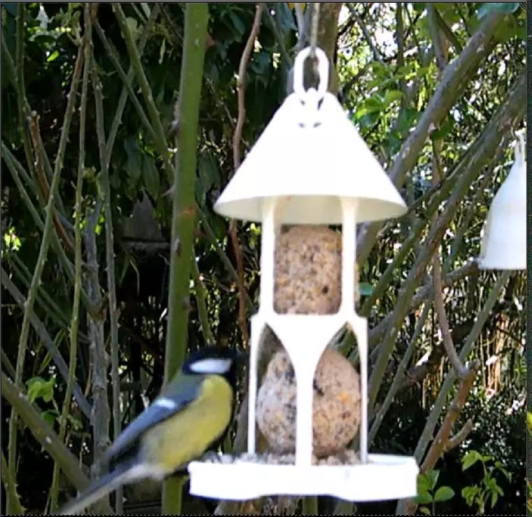 Bird feeder seedballs and seed 3D print model_0