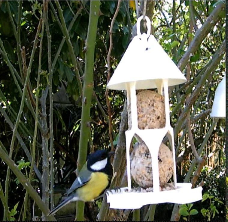 Bird feeder seedballs and seed 3D print model_4