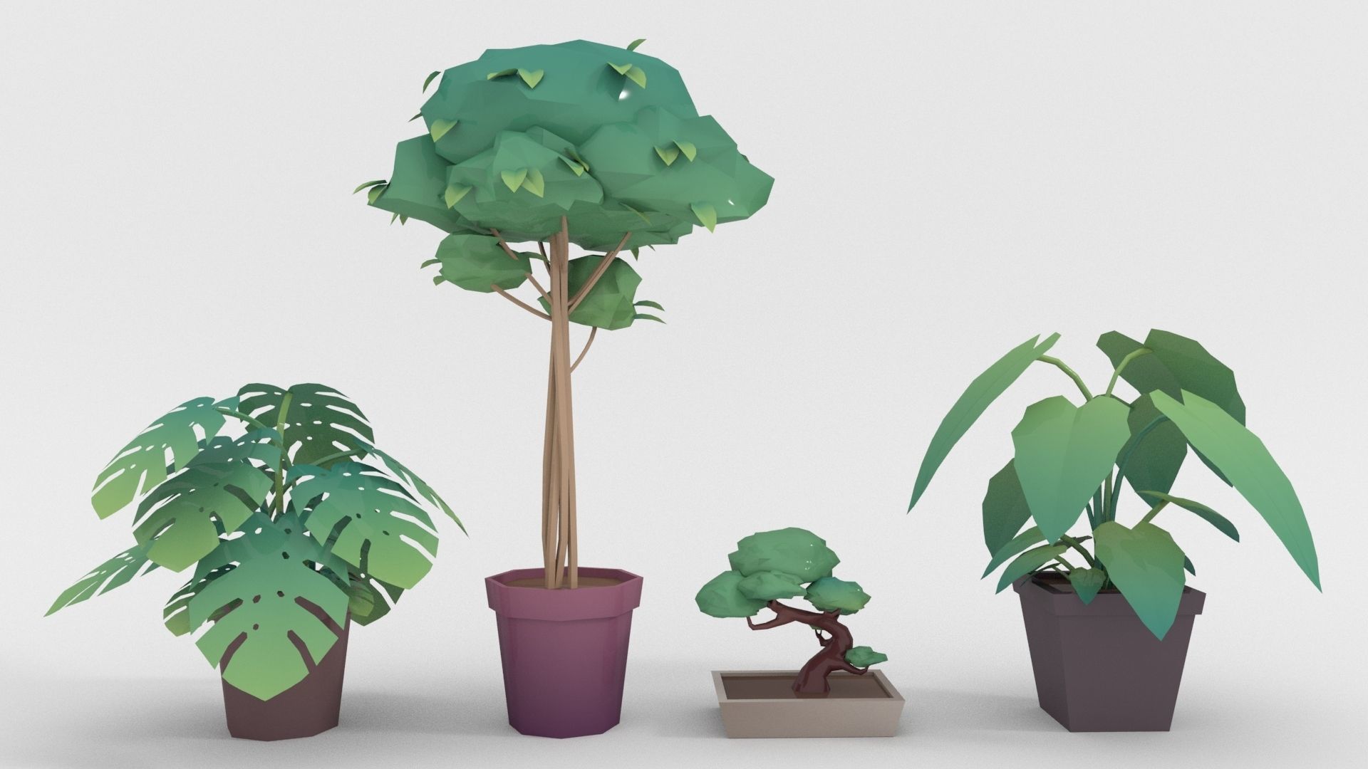 Low-poly popular indoor plant collection 3D model_1