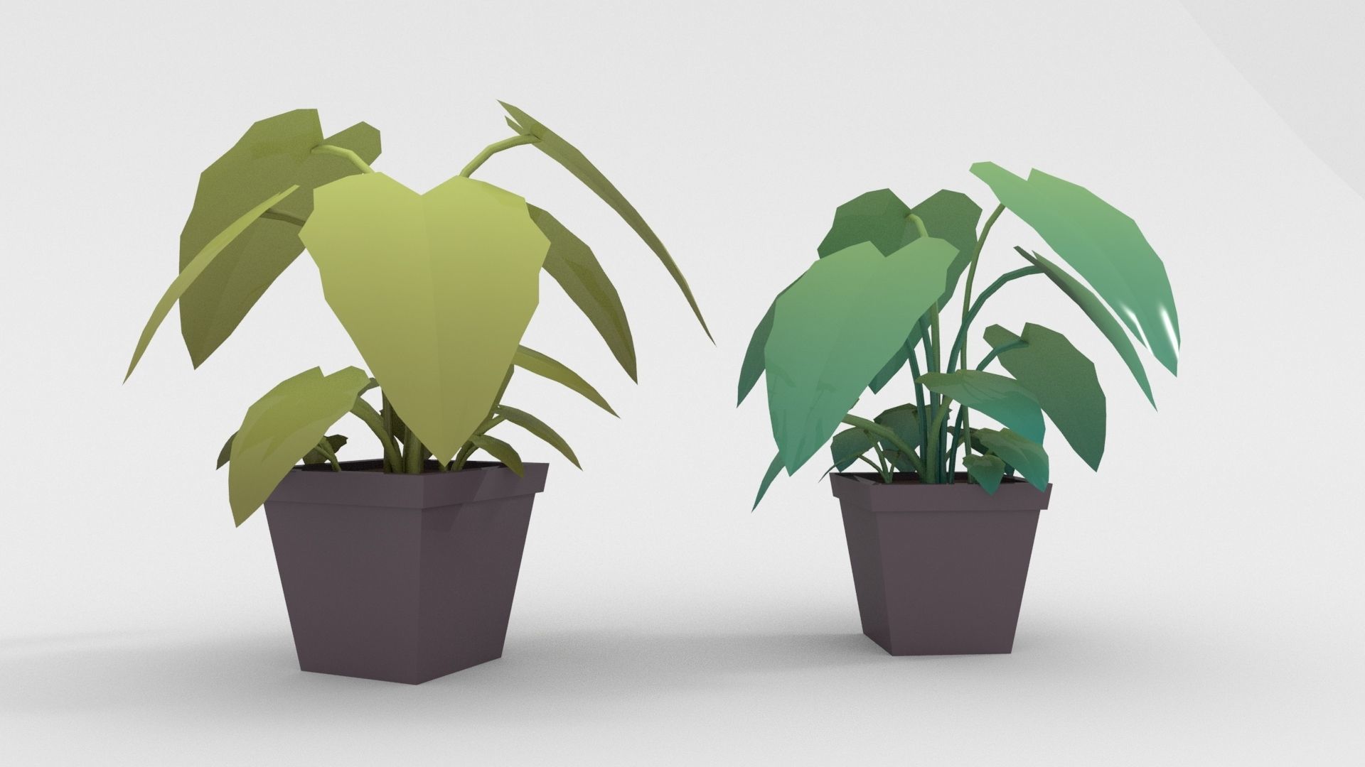 Low-poly popular indoor plant collection 3D model_11