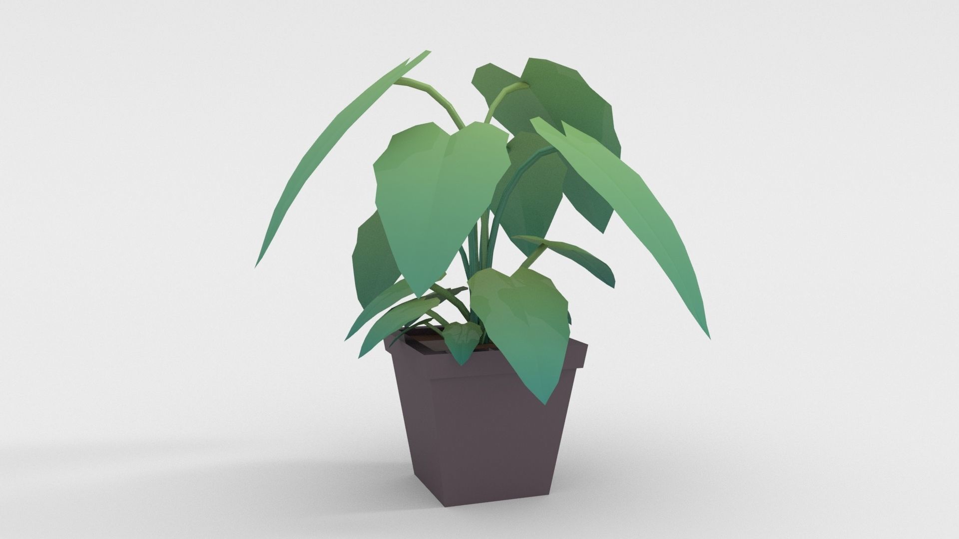 Low-poly popular indoor plant collection 3D model_4