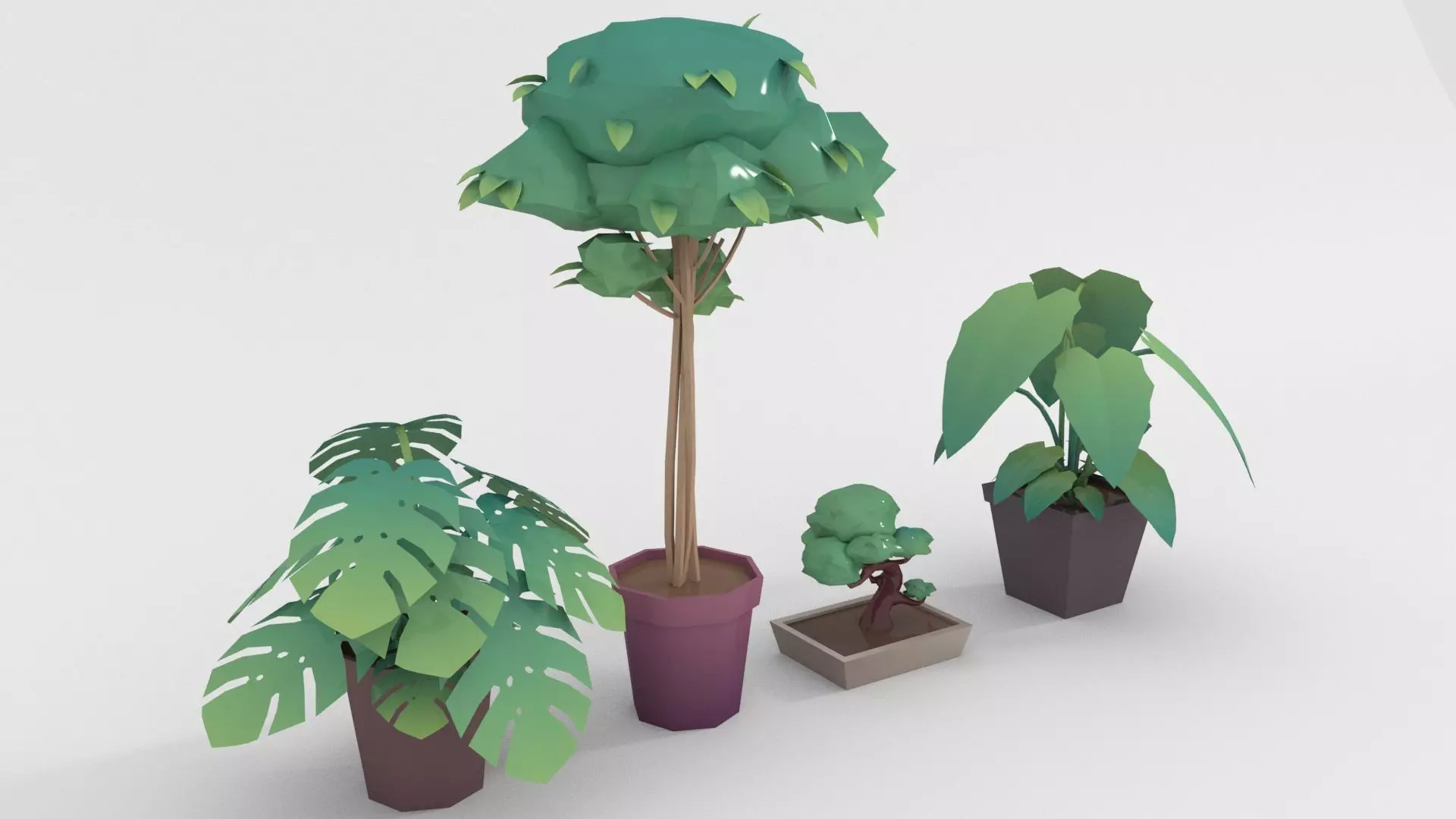 Low-poly popular indoor plant collection 3D model_0