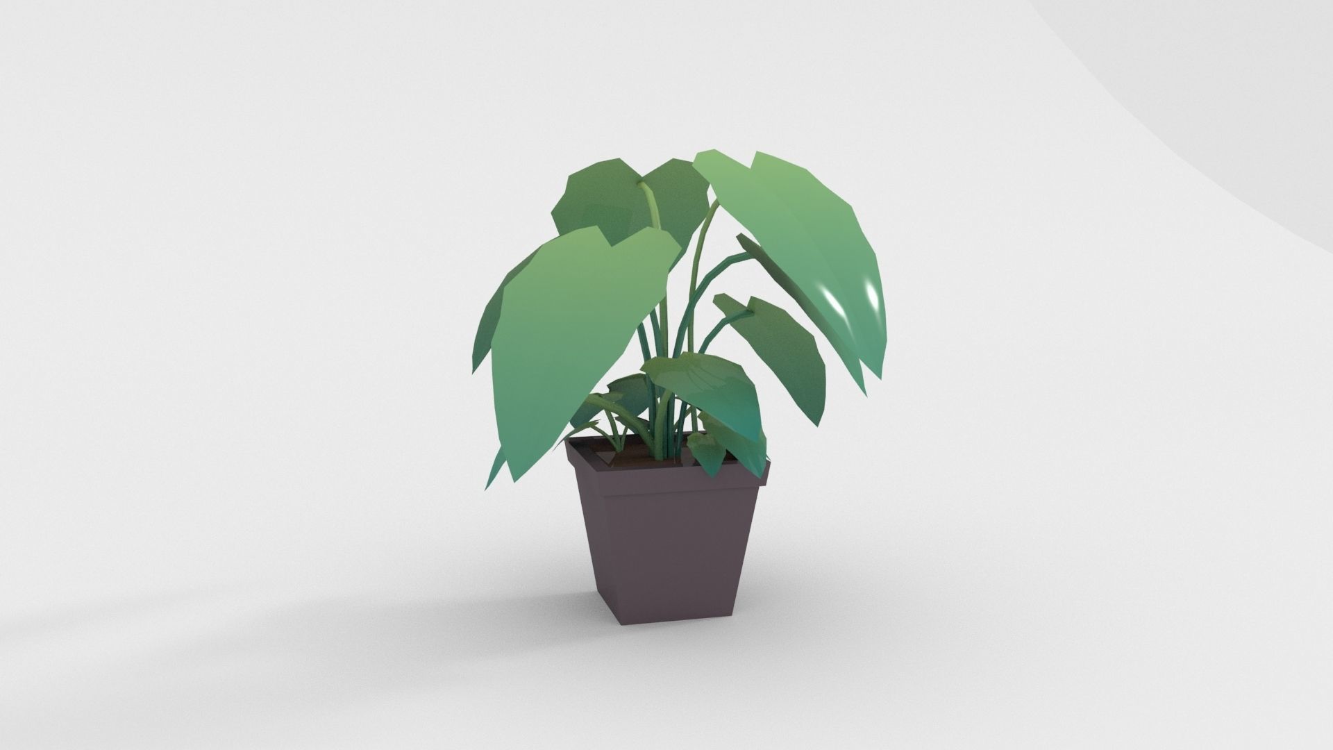 Low-poly popular indoor plant collection 3D model_12