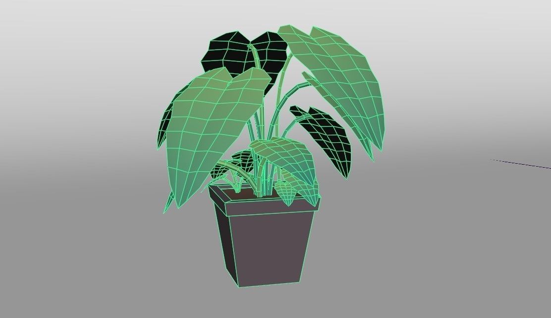 Low-poly popular indoor plant collection 3D model_8