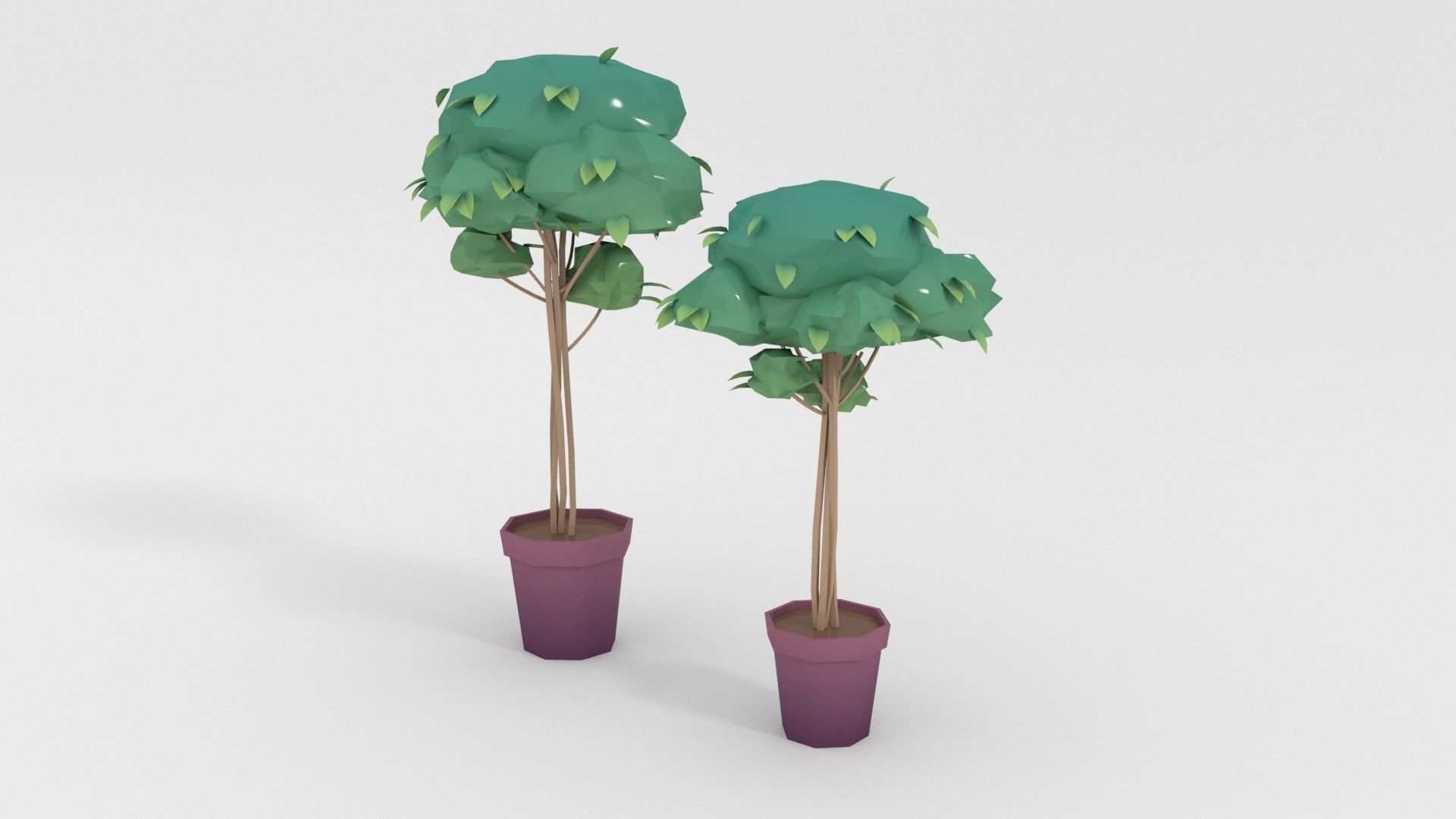 Low-poly popular indoor plant collection 3D model_9