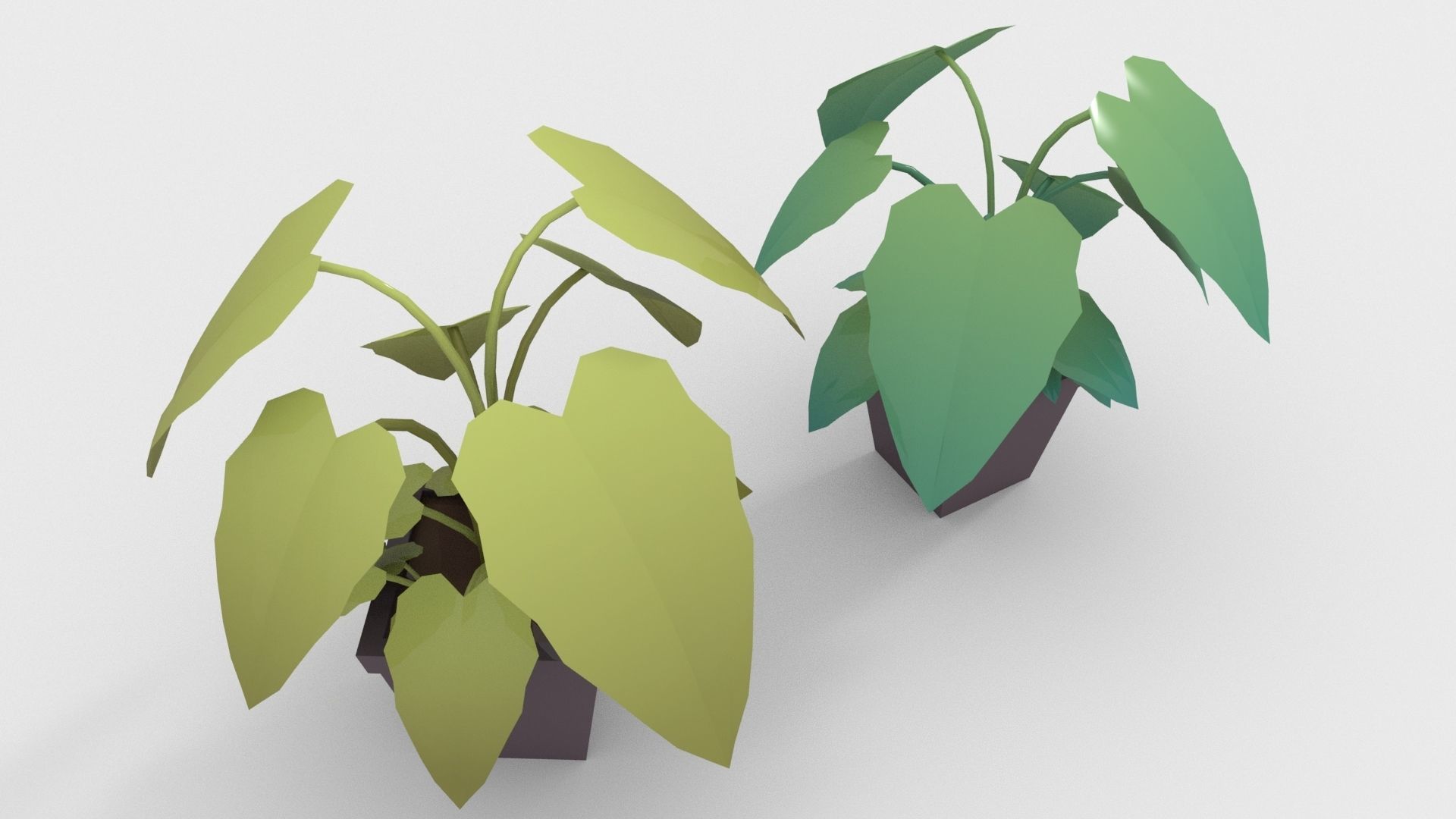 Low-poly popular indoor plant collection 3D model_15