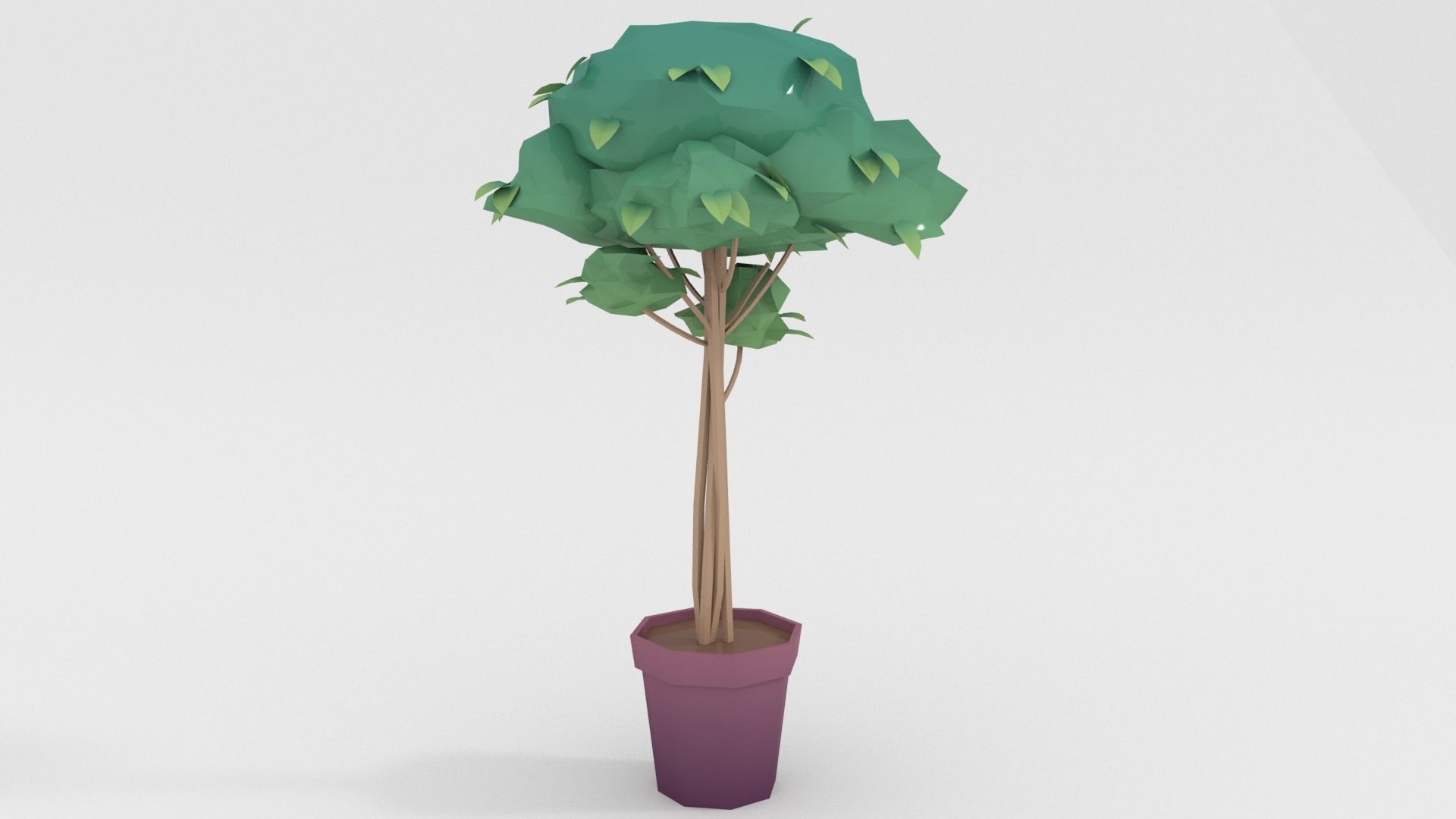 Low-poly popular indoor plant collection 3D model_3