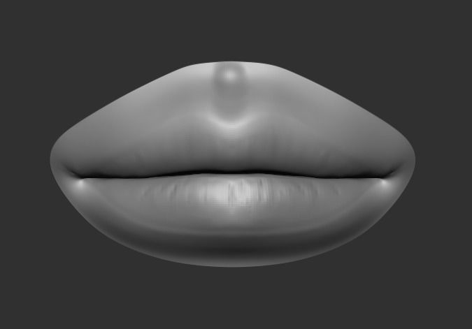 Female Mouth Pack 3D model_2